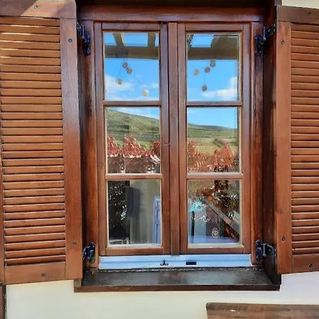 With Shared Pool And Views Sabina Alta