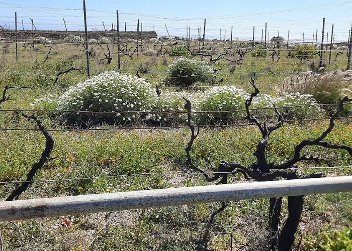 With Shared Pool And Views * Sabina Alta