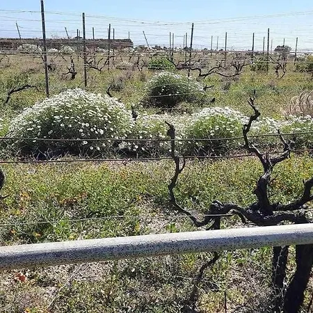 With Shared Pool And Views