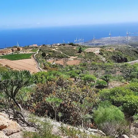 With Shared Pool And Views *