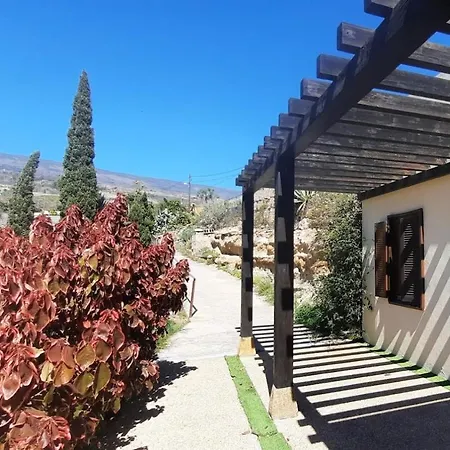 With Shared Pool And Views *