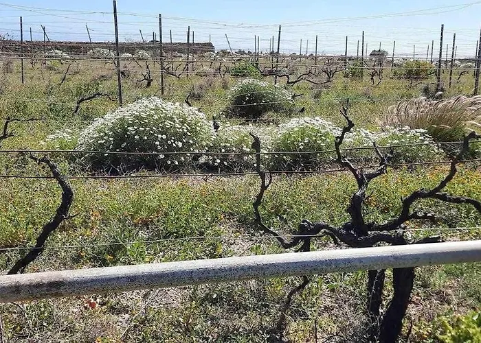 With Shared Pool And Views