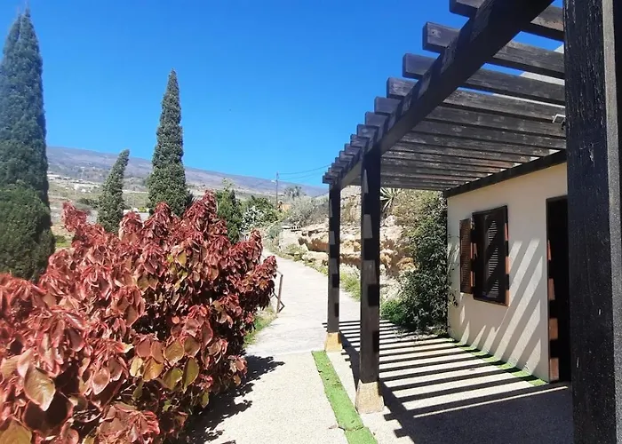 With Shared Pool And Views *